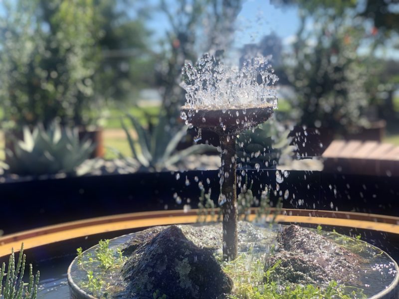 Solar Pumps for ponds & waterfeatures