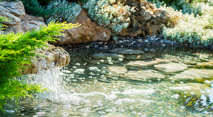 Problems with green algae? Turn your pond green to clean!