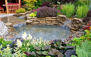 Your pond in the cooler months