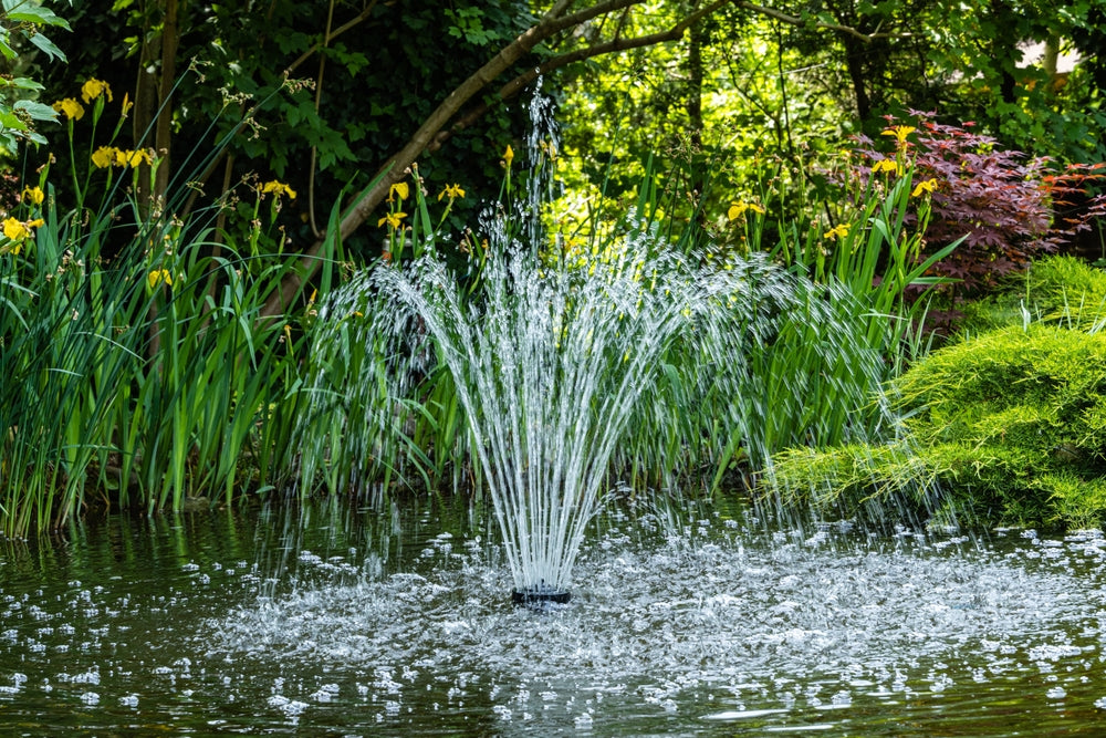 How to Choose the Right Pump for Your Specific Pond Needs
