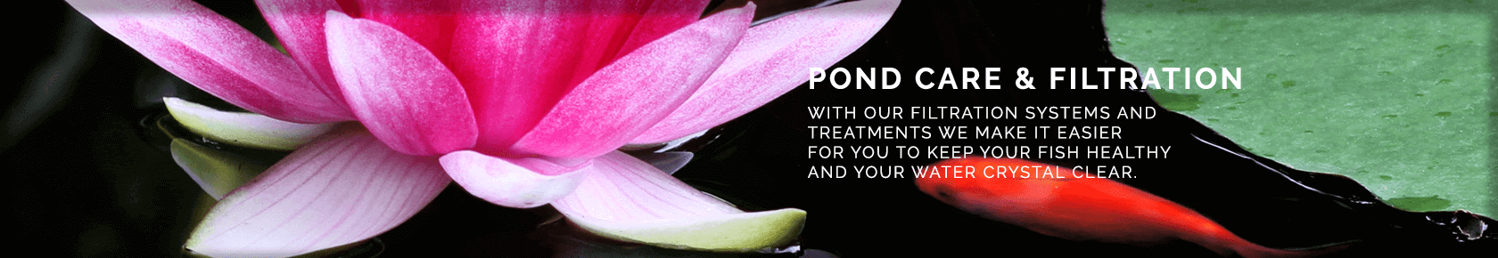 Pond Care & Filtration