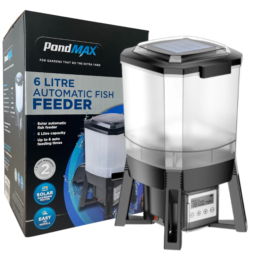 Automatic fish feeder australia online