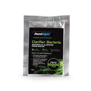 PondMAX Pond Clarifier Bacteria 50g