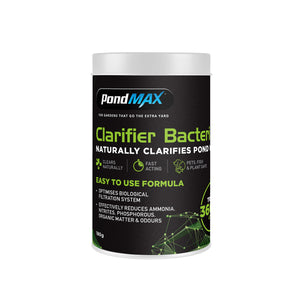 PondMAX Pond Clarifier Bacteria 180g